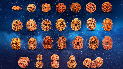 जानिए आपकी राशि के अनुसार कौन सा रुद्राक्ष पहनना चाहिए - Which Rudraksha is best
