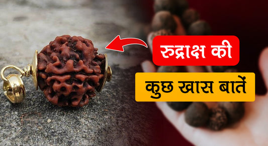 रुद्राक्ष पहनने के 5 बड़े फायदे || 5 Benefits of Rudraksh