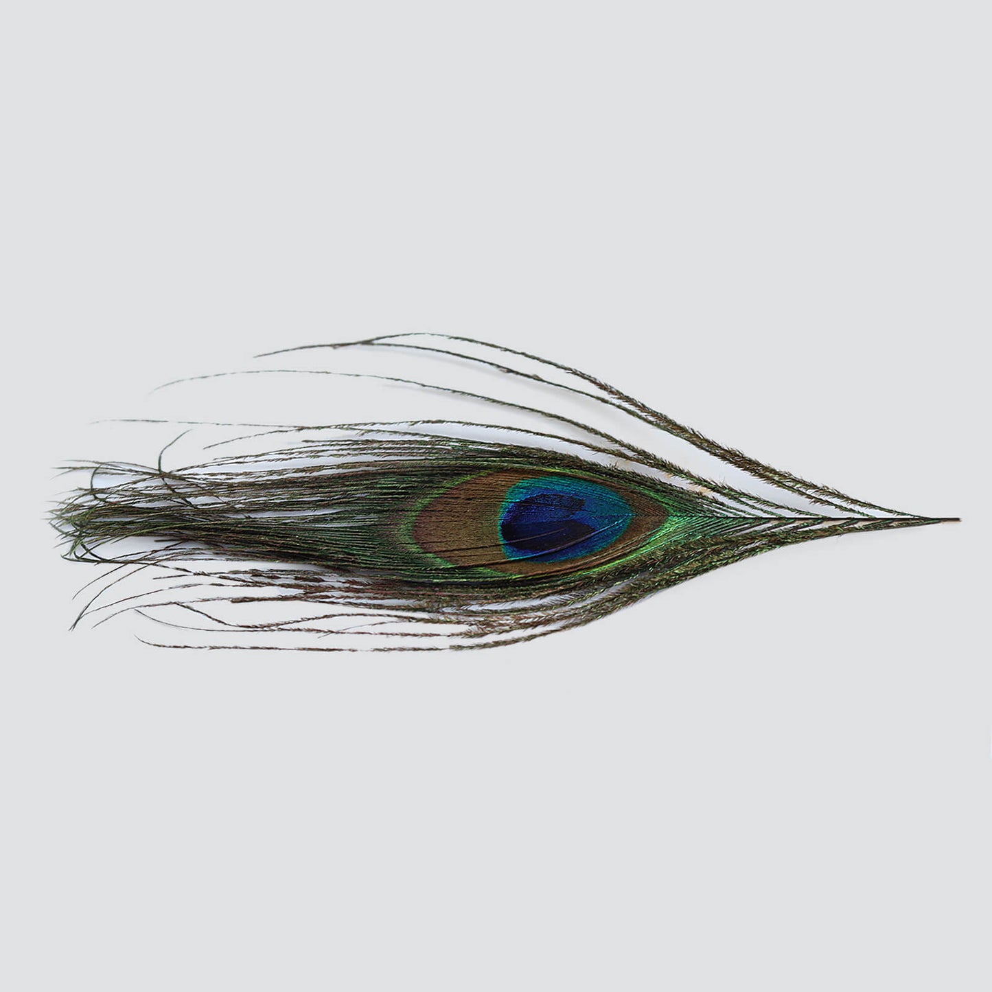 Shri Shyama Ichapurti Vijaya Kavach