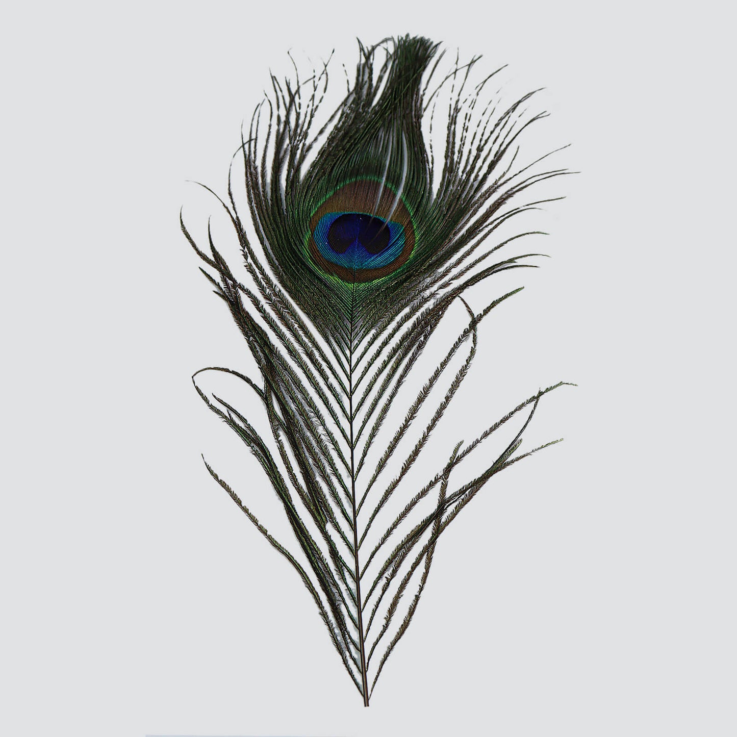 ஸ்ரீ கந்த கவசம்