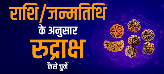 1 se 14 मुखी  - मेष से मीन राशि के वाले  धारण करे ये रुद्राक्ष