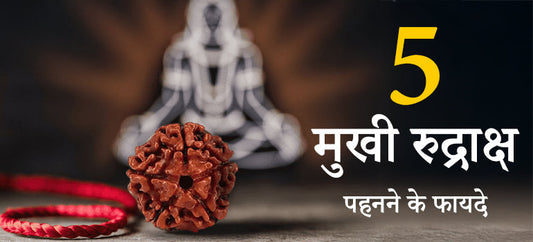 5  मुखी रुद्राक्ष पहनने के वो फायदे जो ज्योतिषाचार्य छुपाते है -सेहत, धन, रक्षा और मन का समाधान एक ही मनके में